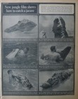 Foto 10 di 11