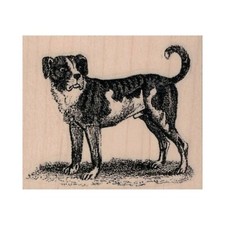 NEW Dog Looking RUBBER STAMP, Dog Stamp, Canine Stamp, Hunting Dog Stamp, Puppy