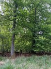 Bild 7 von 10