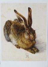 Grußkarte*Ostern"Dürer Hase"10x15*Postkarte+Umschlag*Feldhase*Klassiker*Frühling