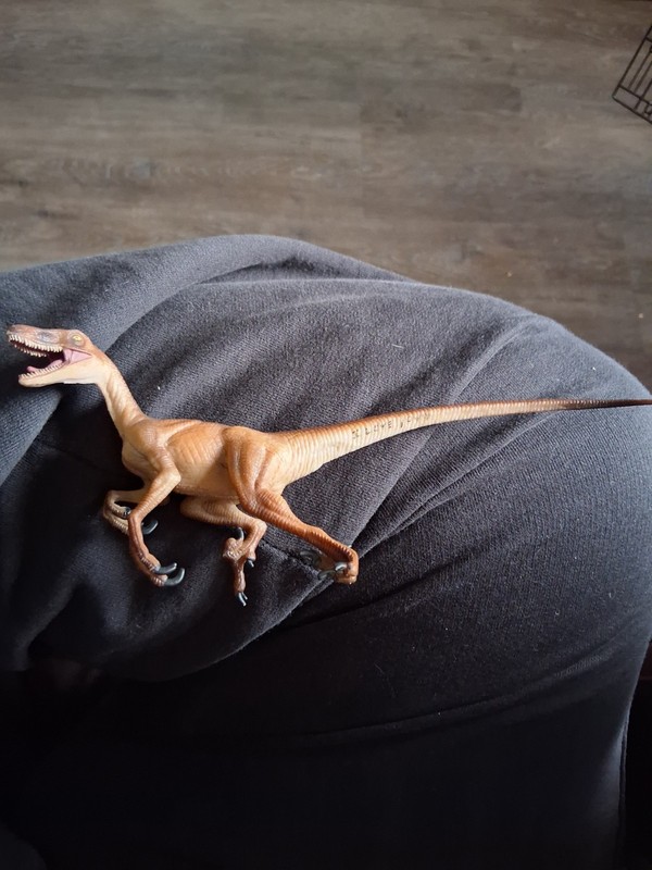 2007 Safari VELOCIRAPTOR figure dinosaur toy I Love You inscription