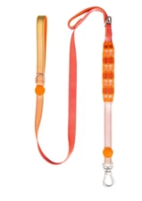 Desired Things Heavy Duty Bungee Dog Leash 2 Handle, Reflective,Training,5'6"L