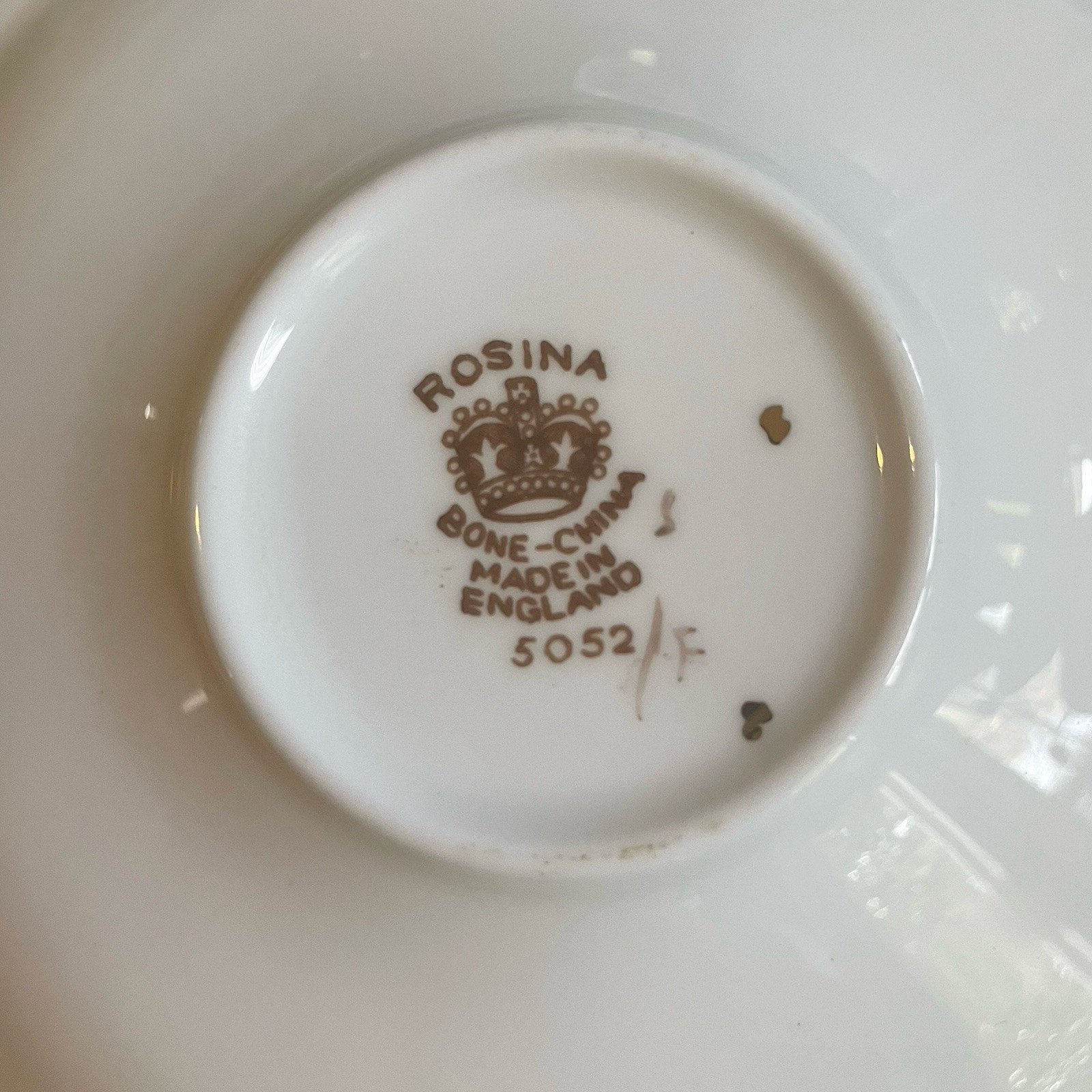 Rosina Bone China Hand Painted Brown & White Heavy Gold Cup & Saucer