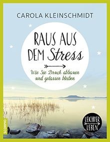 Raus aus dem Stress. Wie Sie Druck abbauen und gelassen ... | Buch | Zustand gut