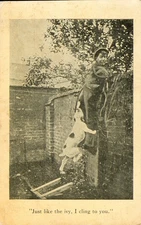 Humorous Funny Antique Postcard 1907 'Just like the ivy, I cling to you' Dog  N