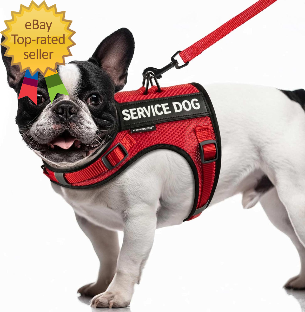 Esa Service Animal Vest Near Me Emotional Support Animal Tactical