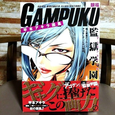 GAMPUKU Akira Hiramoto Art Book Eye Candy Japan Publisher Rare Poster Included