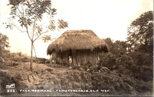 Tamazunchale San Luis Potosí Mexico Traditional Thatch House RPPC Postcard 25608