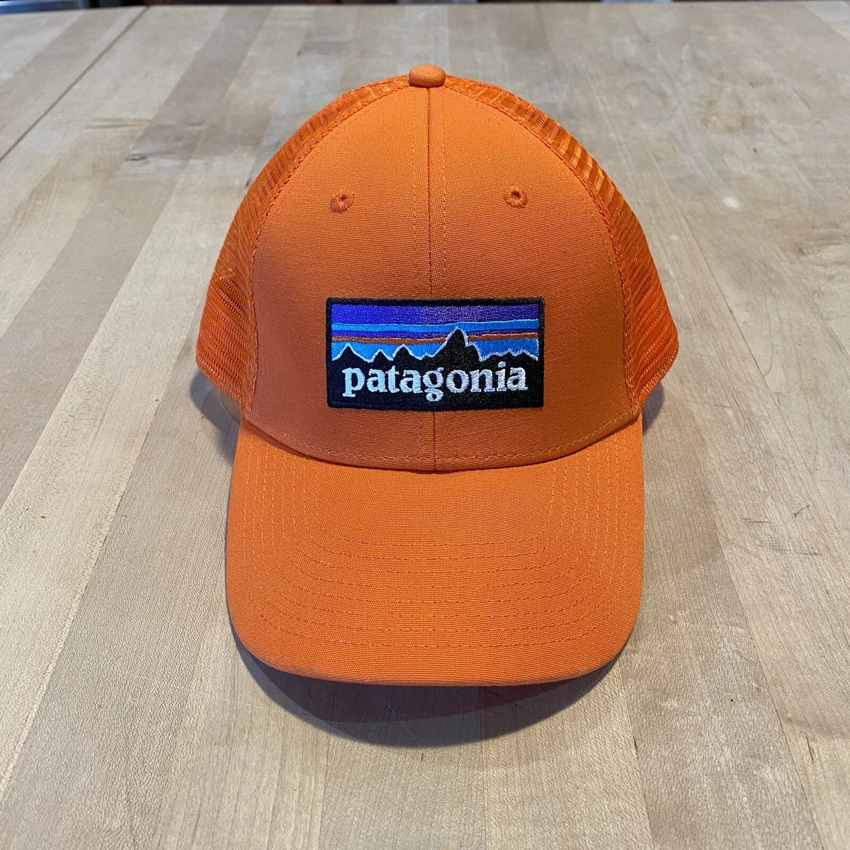 Patagonia P6 Logo Lopro Trucker Hat Mint Excellent Campfire