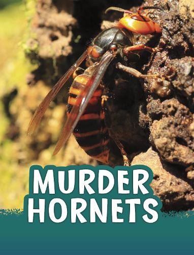 Murder Hornets by Jaclyn Jaycox - 9781398244047