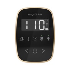 Mr Steam iTempoFlex Steam Shower Control w/ Aroma SteamHead