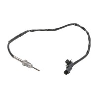 Abgastemperatursensor Hans Pries HP702 718