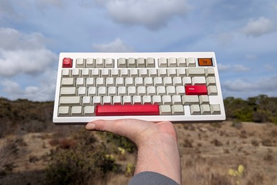 75% Thocky Wireless Custom Keyboard | Lubed Mint POM Switches | Light 9009 Caps