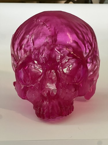 Anatomical Pink Resin Human Skull Models Molded From Real Heads Medical Set 2 - Picture 11 of 21