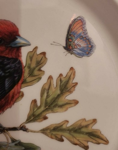 Portmeirion Botanic Garden Birds 8" Plate - Scarlet Tanager - Picture 4 of 6