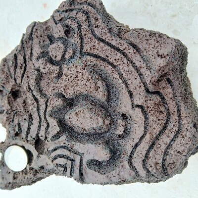 Sea Turtle honu Petroglyph Ancient Art Hawaiian Hieroglyph Rock Stone Carving  