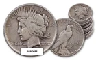 RANDOM YEAR Peace Silver Dollar 1922-1935 (CIRCULATED)