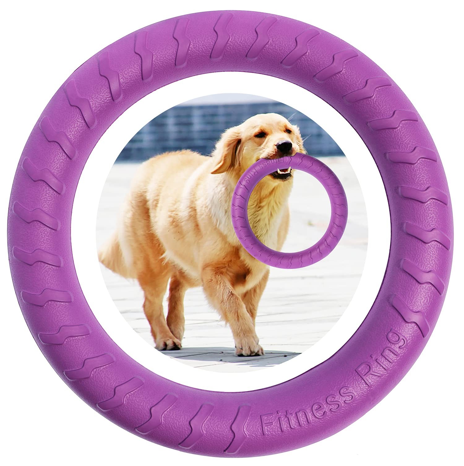 Anello Agility Cane Professionale - Attrezzatura Fitness e Salto