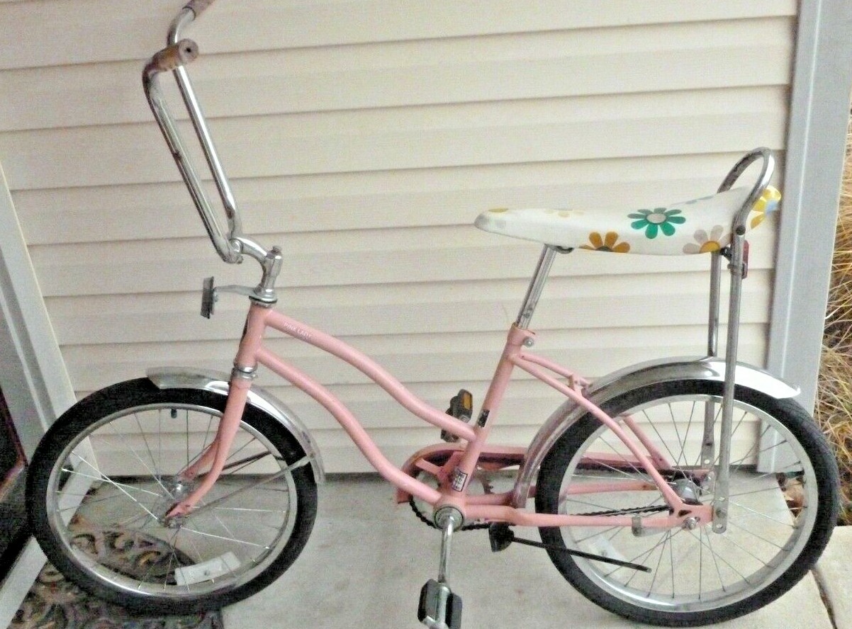 Vintage Pink Chain Cover Guard Banana Bicycle Bike Retro Muscle Chainguard Lady