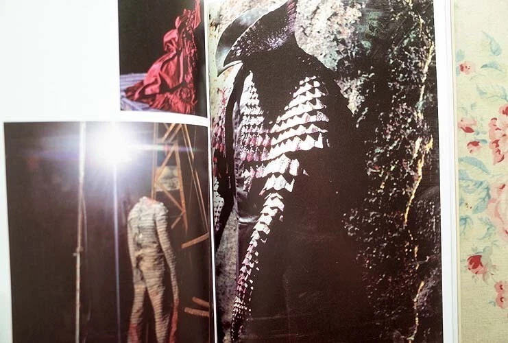 Eiko Ishioka Blood Sweat and Tears A Life of Design Art Book Exhibition Works JP - Image 4 of 4