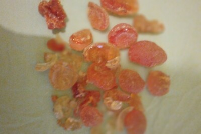 Gummi Arabic (Akazie) 25KG 100% natürlich biologisch, von Hand von Wildbäumen geerntet