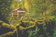 CEDAR CREEK GRIST MILL PRINT/POSTER SATIN PHOTO PAPER OR  CANVAS T597