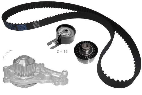 ✅Fits DOLZ KD016 A CPL. + WATER PUMP CITROEN C3, C4, C5, FORD FOCUS ⭐UK Seller⭐ - Image 15