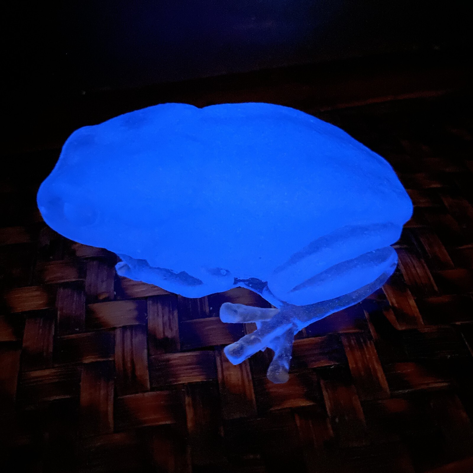 Blue Glow Clear in Daylight UV Reactive Frog Handmade Paperweight Gift Idea