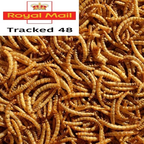 5-Pound Bulk Dried BSF Mealworms - High-Protein Treat For Wild Birds, Chickens & Fish 2 thumbnail image