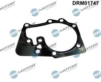 Dr.Motor Automotive Dichtung Wasserpumpe FüR Dacia Duster Logan MCV 1.6 16V