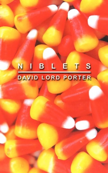 David Lord Porter | Niblets | Taschenbuch | Englisch (2001) | 1st Book Library-image