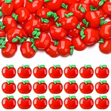 Briwooody 60 Pcs Mini Teacher Resin Charm School Flatback Slim Charms Back... 