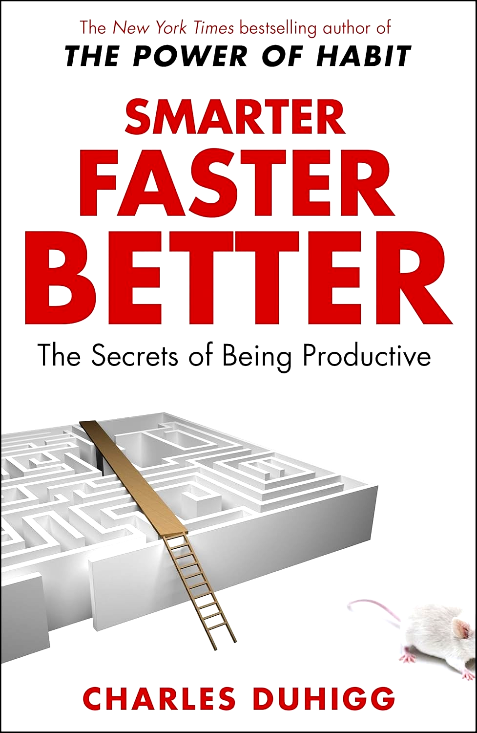 Smarter Faster Better - Image 4