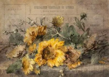 Decoupage Queen, Rice Paper, Mixed Media, A4, 8.3 x 11.7", Arts, Crafts, Decoupa