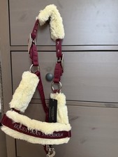 NEU Equestrian Stockholm Halfter Bordeaux Pony