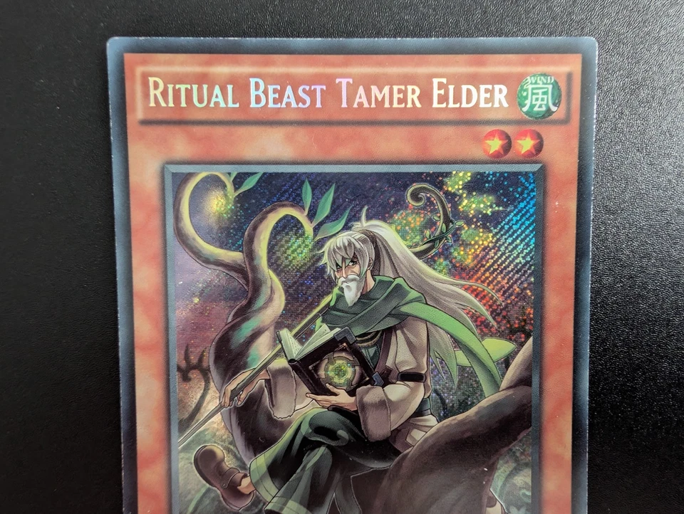 Yugioh THSF-EN023 Ritual Beast Tamer Elder Secret Rare Englisch Exzellent Selten - Bild 2 von 4