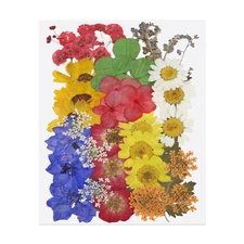 35 Pcs Dried Pressed Flower Leaves Bulk for Resin, Red Mix Colors