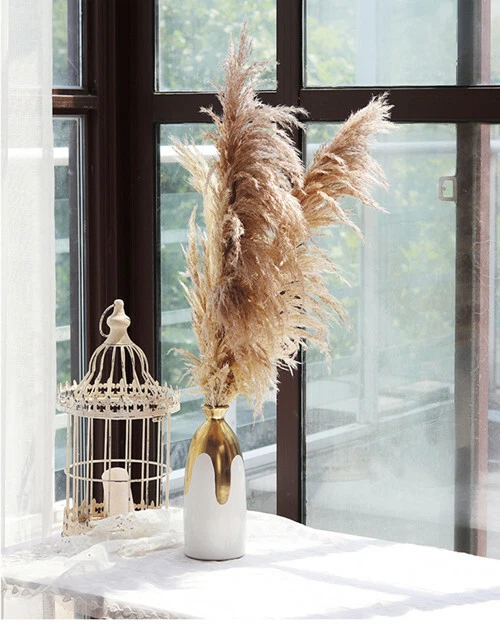 Dry 2024 plant decor