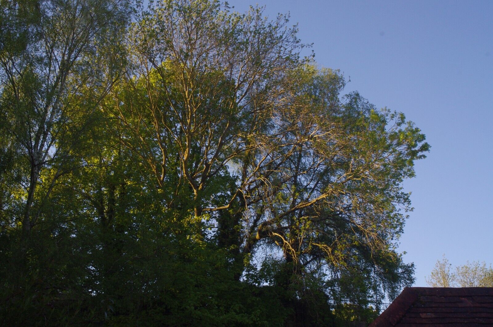 Picture 7 of 20