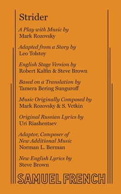 Strider von Mark Rozovsky (Englisch) Taschenbuch