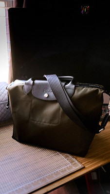 Longchamp Le Pliage Energy L Green