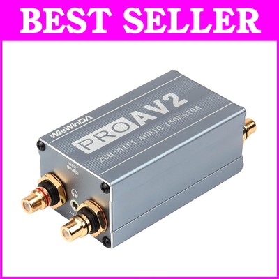 Pro 2-Channel RCA Noise Filter & Ground Loop Isolator - Enhanced HiFi Sound