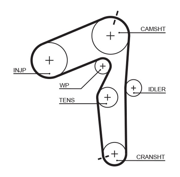GATES-OE 5500XS Timing Belt for ALFA ROMEO,FIAT,LANCIA