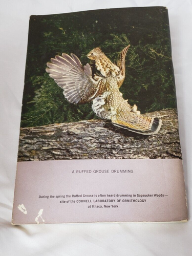 Enjoying Birds In Upstate New York Paperback 1963 Olin and Sally - Foto 2 di 3