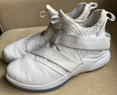 lebron soldier 12 ebay