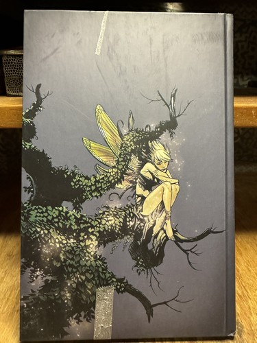 Die guten Nachbarn - Verwandten Buch Eins Holly Black - Ted Naifeh Gebunden - Bild 2 von 8
