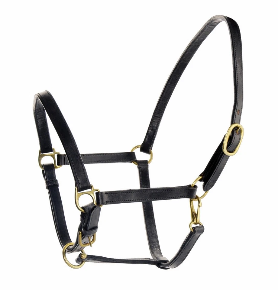 Halsband Für Pferde Aus Leder - Bild 1 von 1