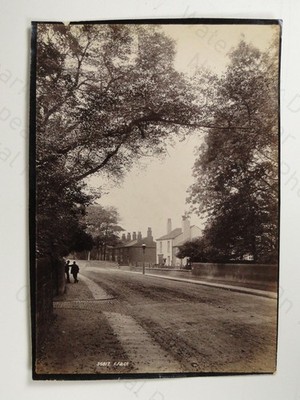 Marylebone, Village 2 Men Tree Lined Road Francis Frith & Co 1895 Vintage Photo