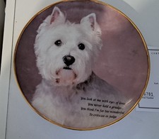 Westie eyes of love Danbury Mint collector plate