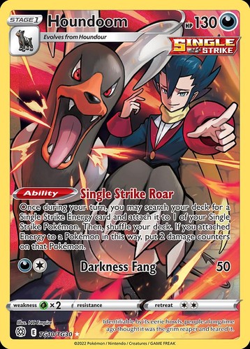 Pokemon Houndoom (TG10/30) Brilliant Stars Trainer Gallery LP HOLO